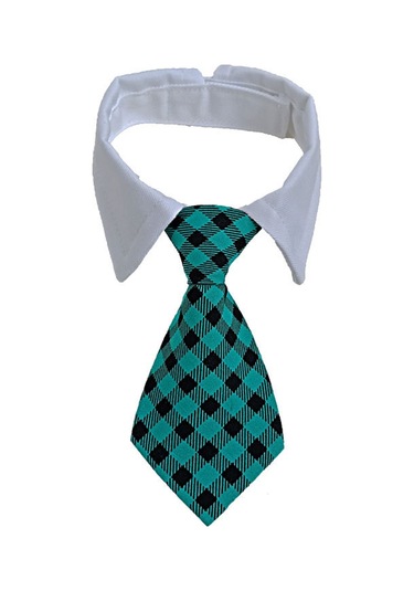 Ruicoo Köpek Kedi Yeşil Paspas Bantlı Bağcıklı Ayarlanabilir Tabanlı Grooming Aksesuarı S 24-30cm Boyun Çevresi - Cw17