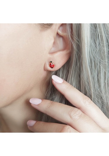 925 Ayar Gümüş Kırmızı Uğur Böceği Küpe Gold