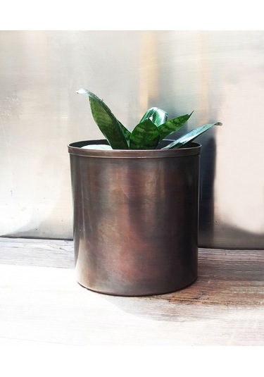 Shark Anatolia Bahar Saksı 3'lü Takım