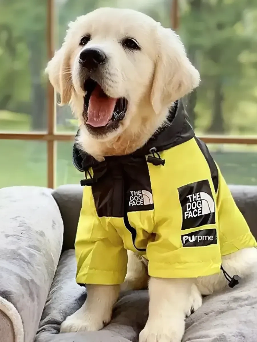 Doggo Küçük Ve Orta Boy Köpekler İçin Tulum 263893534