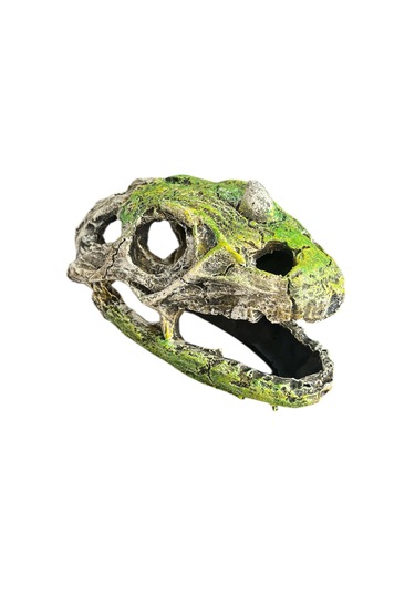 Dinazor Kafası Akvaryum Dekoru Büyük Boy