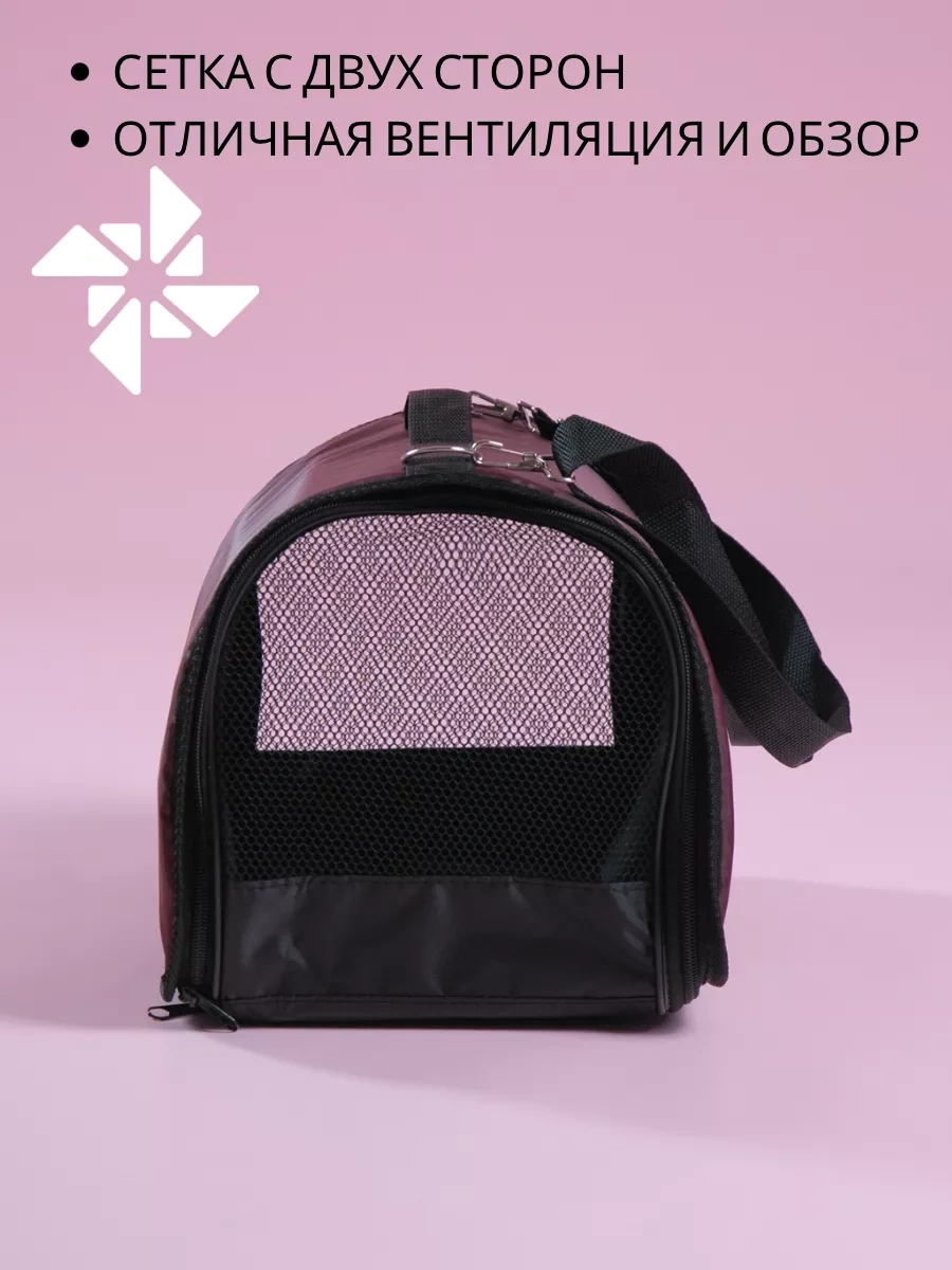 Bobrıkgora Katlanabilir Kedi Ve Köpek Taşıma Çantası 103769062