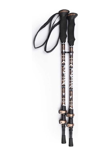 Evolite Yürüyüş Batonu Golden Trekking Poles Siyah