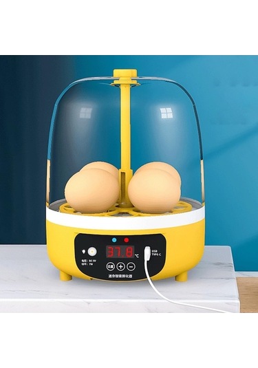 Maoyaya Yumurta Tavuk Suntek Papağan Makinesi Makinesi Kuluçka Kuluçka Rg