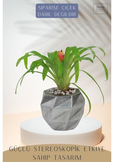 Çiçek Saksısı Dekoratif Kaktüs Saksı 1 Adet Dönen Poly Model - Gümüş Eskitme