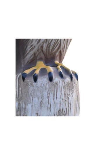 Homyl Kartal Heykeli Plastik Raf Kitaplık Masaüstü Heykelcik Orta