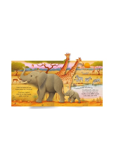 Pop-Up Animals - Anna Milbourne - Usborne
