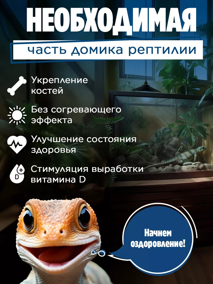 Jasmilar Sürüngenler İçin Uv Lamba Teraryum 173292826