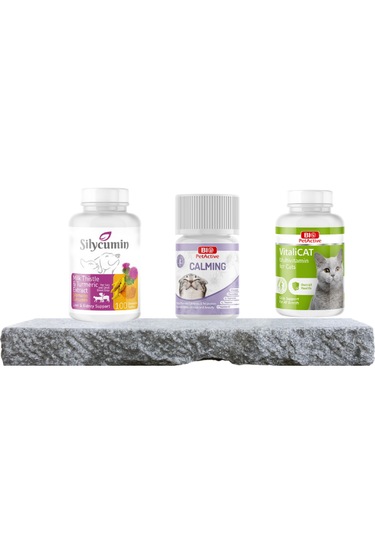 Purecanpati Kedi Destek Vitamin Seti Calming Vitalicat Silycumin