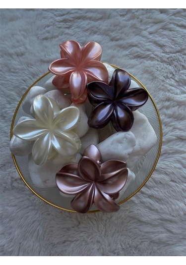 4'lü Set Pastel Mat Renk Lotus Toka Çok Renkli