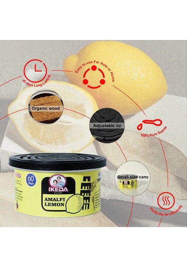 Araba Hava Tazeleyicileri: Limon Kokusu Organik Kutular Koku Giderici Uçucu 1 Coffee Flavor 1 Piece Set