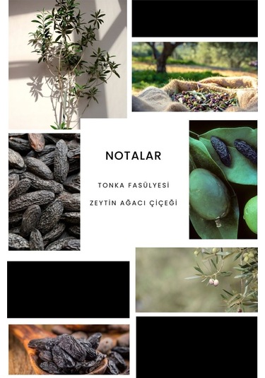 Ixora E163 Black Day Erkek Parfüm EDP 50 ML