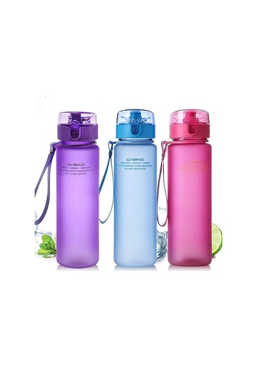 Dinosaurs 560 Ml Sızdırmaz Su Şişesi - Mor-103 Altın