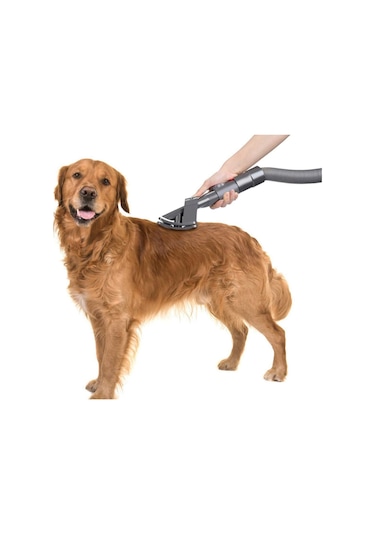 V15 Uyumlu Pet Başlığı Evcil Hayvan Bakım Aparatı