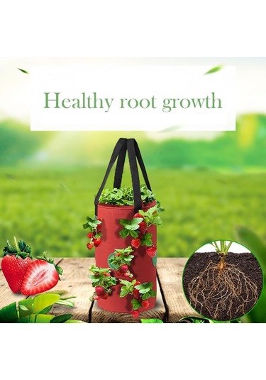 3 Galon Topsy Turvy Domates Ekici, 12 Delikli Asma Çilek Ekici, Nefes Alabilen Çilek Kumaş Sebzeler İçin Çantalar Yetiştirin 3 Paket