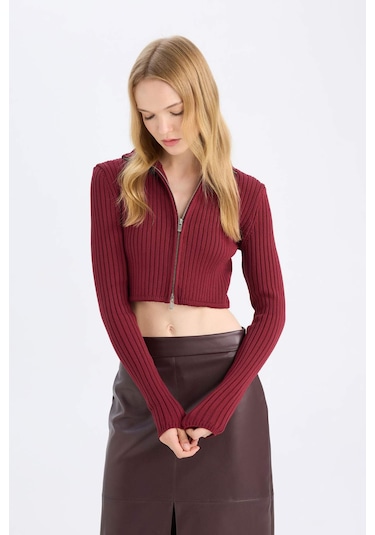 Defacto Coool Yarım Balıkçı Yaka Fermuarlı Triko Hırka B2558AX24AUBR415 Bordo