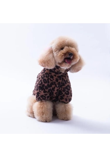 Pawstar Sri Lanka Küçük Irk Köpek Pofuduk Ceketi