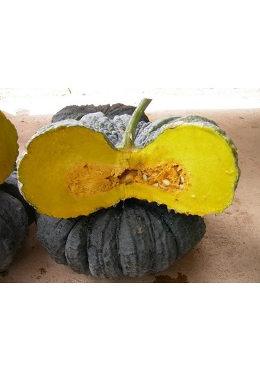 Siyah Bal Kabağı 5 Adet Tohum