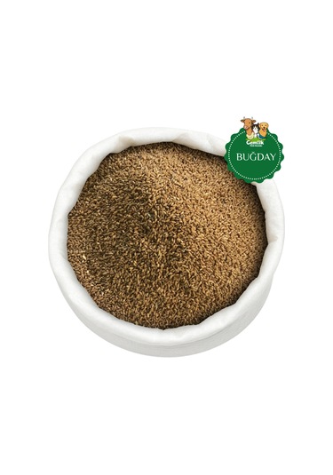 Tane Buğday 10 Kg Güvercin Ve Kümes Hayvanlarına Özel Yem