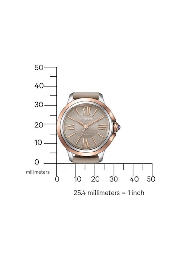 Citizen Em1166-01z Eco-drive Kadın Kol Saati Metalik Gri