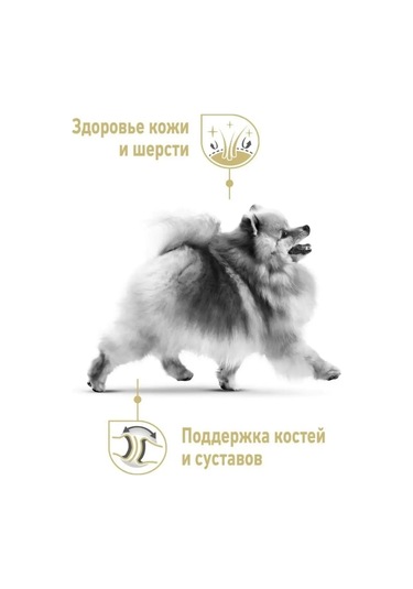 Royal Canın Royal Canin Pomeranian Adult Pate 12 Adet 85 Gr 134712136