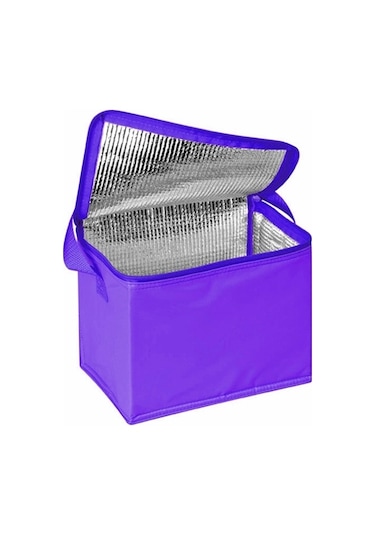 Soğutucu Kamp Piknik Çantası Termos Soğuk Tutucu Çanta  Termos Mavi