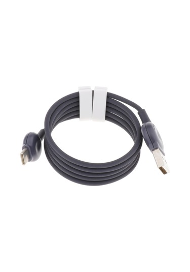 Suntek 1 M Type C Mikro USB Hızlı Şarj Cihazı