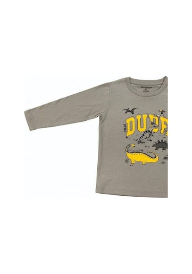 Divonette Erkek Çocuk Dinazor Baskılı Uzun Kollu T-shirt-15088 Gri