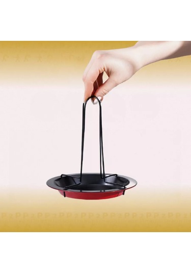 P2p Online Izgara Tavuk Rostosu Sebze, Patates Ve Mantarlar İçin Tabak 198638035 Kırmızı