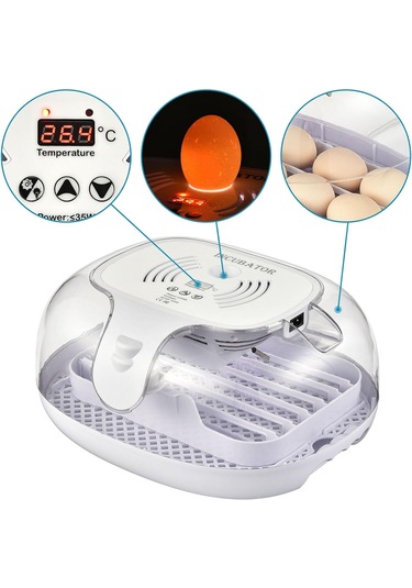 Altın Kuluçka-wonegg 16'lı Tam Otomatik Kuluçka Makinesi