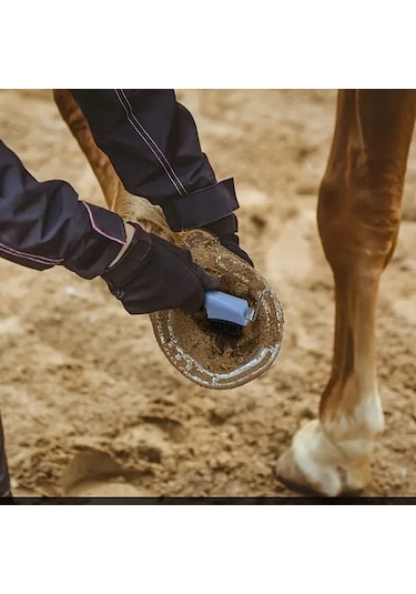 Elmpaly Metal Kancalı At Nalı Temizleme Fırçası Dayanıklı Pp Malzeme Ergonomik Sap