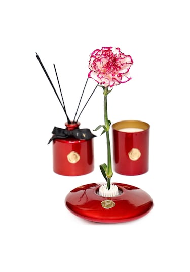 Flora Design-elegance Kırmızı Cam Vazo Kırmızı