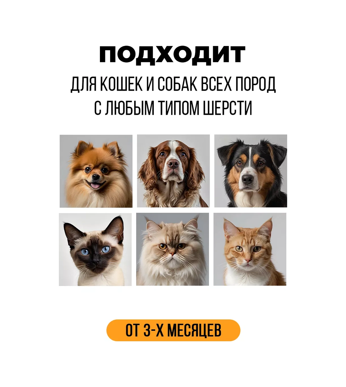 Spets Köpek Patileri Yıkamak İçin Fırçalı Ve Klorheksidinli Köpük-sabun 248237382
