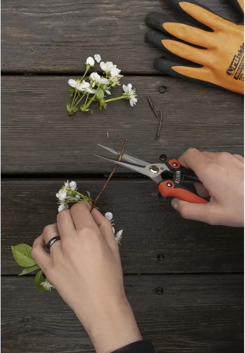 Frommyheart Bahçe Makasları 79473209