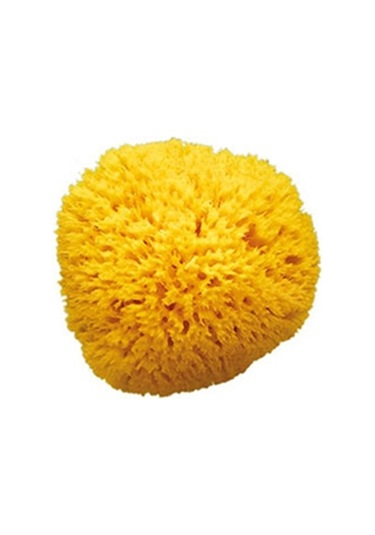 Okbaby Doğal Banyo Süngeri / Büyük Sarı