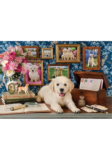 Anatolian 500 Parçalık Puzzle - Labrador 3637