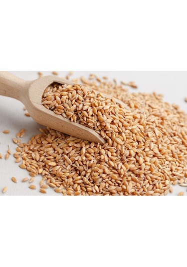 Buğday Yem 1 Kg Doğal Buğday Tane Buğday Güvercin Yemi Tavuk  Yem