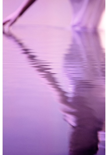 Estee Lauder Sensuous Stars Kadın Parfüm EDP 100 ML