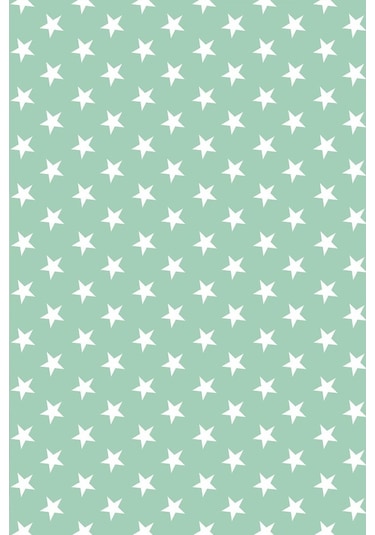 Premier Home Yıldız Desenli Fon Perde Mint 170X270 (472220920)