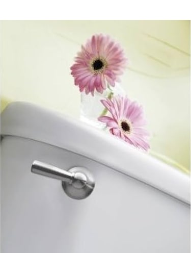 Brushed Nickel - Moen Dn6801bn Sage Inspirations Toilet Tank Le Diğer