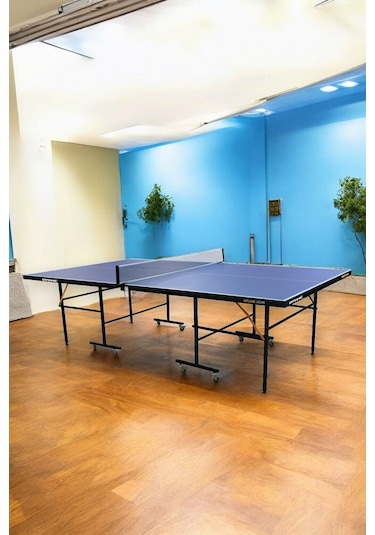 Dynamic Delux Lite Indoor Masa Tenisi Masası - 16mm 2 Raket 3 Top Ağdemir Set