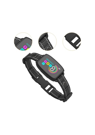 Homyl Yavru Küçük Orta Büyük Köpekler Için Şarj