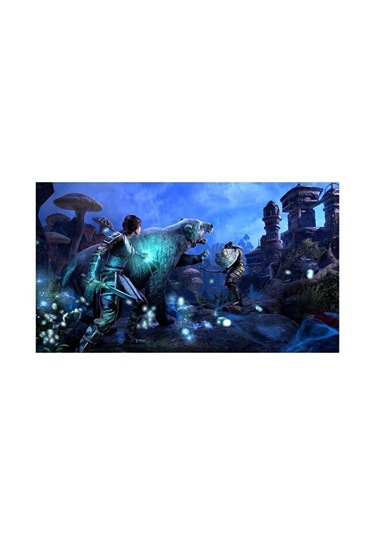 The Elder Scrolls Online Playstation 4 Oyun Cd