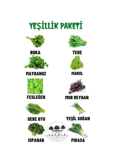 10 Çeşit Karışık Tohum Paketi 1