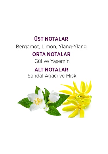 Bellissima Kadın Parfüm EDT 60 ML