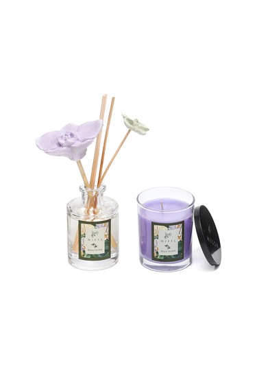 Black Orchid Oda Kokusu Ve Vegan Mum Hediye Seti