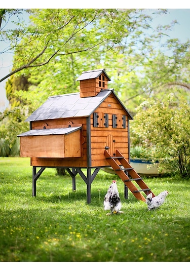 Mandu Ahşap Tavuk Kümesi (Max 16 Tavuk)