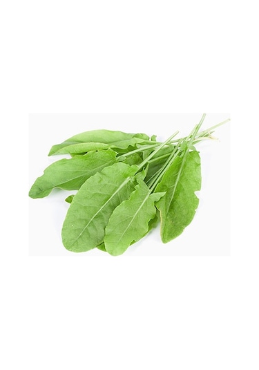 250+ Kuzu Kulağı Otu Tohumu Limon Aromasında N112704