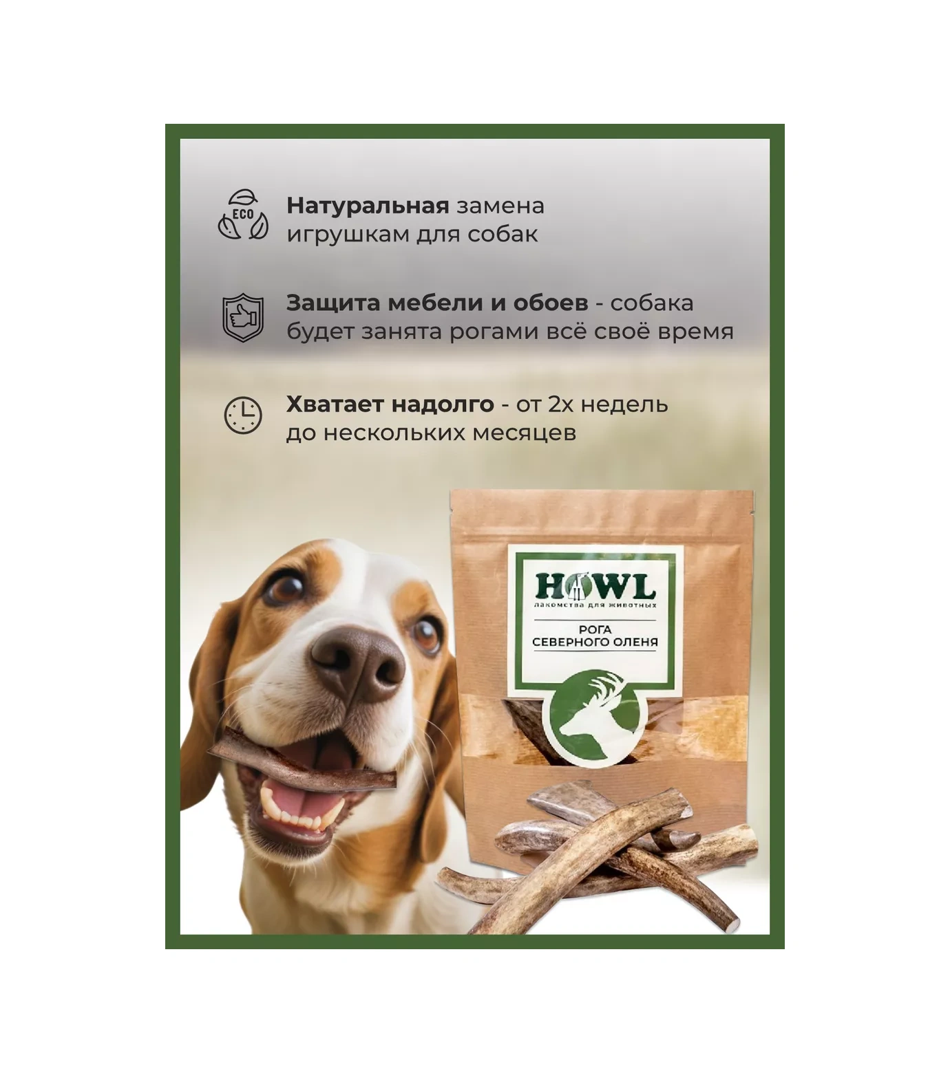 Howl Köpekler İçin Geyik Boynuzu M 80-110 G 74282202