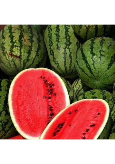 Meşhur Diyarbakır Karpuzu Tohumu 5 Adet Tohum Karpuz Tohumu